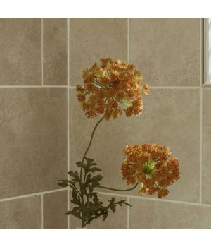 County Rustic Taupe Wall Tiles
